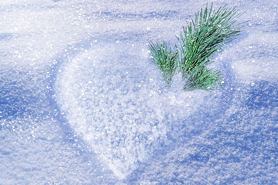 Bilden visar ett hjärta i snö och en tallkvist.