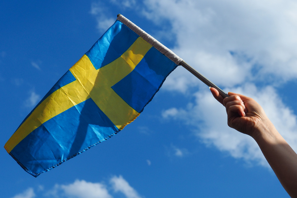 Hand som håller en pinne med en svensk flagga.