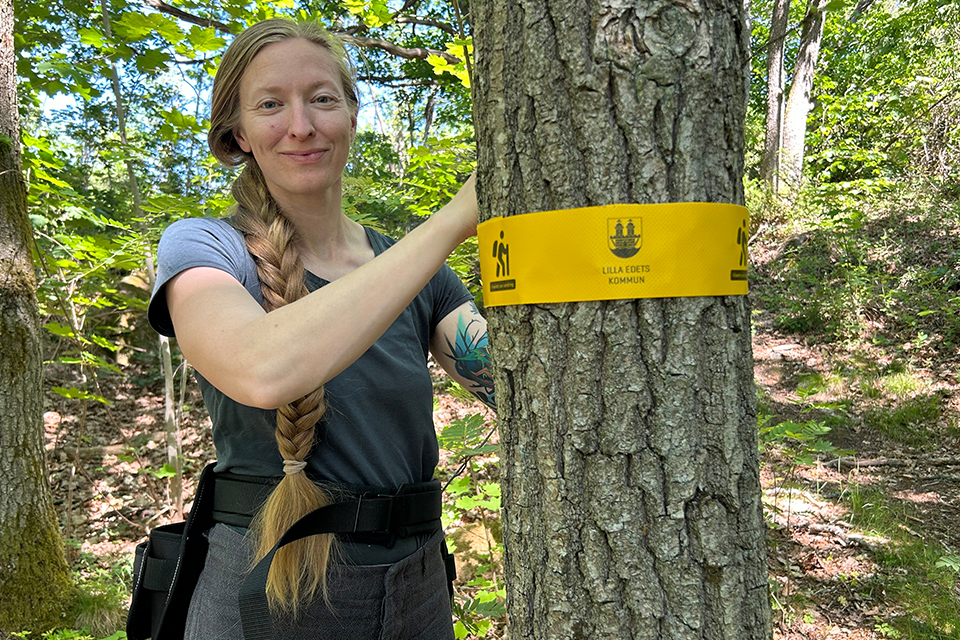 Kvinna i halvbild märker träd vid vandringsled i skogen.